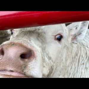 Meet your Posher, Tami